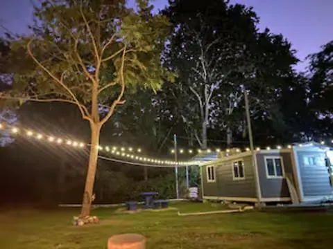 Monkey Apartment *